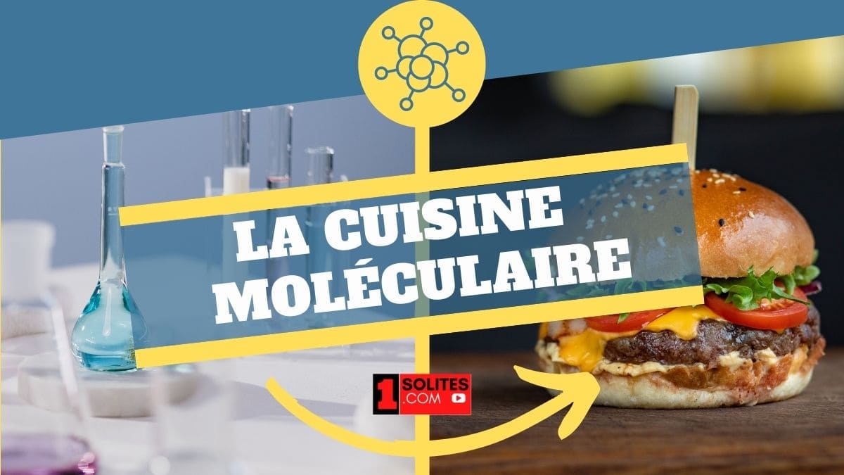 La cuisine moléculaire, une révolution de la gastronomie. – 1001 Business  Uniques